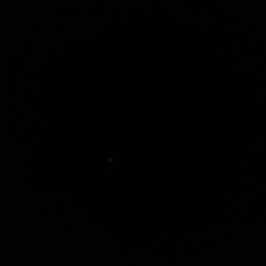 Meet your Posher, Naz